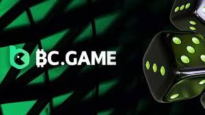 Step-by-Step Guide to Registering on BC.Game
